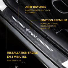 Protection Seuil de Porte Universel Mini