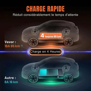 Câble de recharge Type 2 à prise domestique Monophasé VEVOR